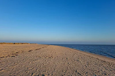Meerglück (50.0.M)