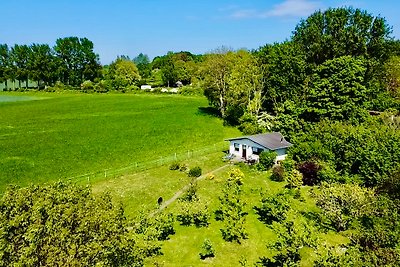 Ferienhaus Boddenblick auf Rügen