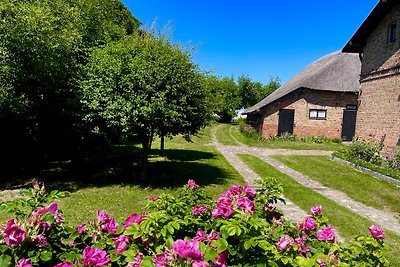 Ferienhaus Boddenblick auf Rügen