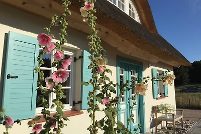Casa Reeth Isola di Usedom