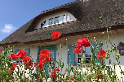 Reethaus Insel Usedom