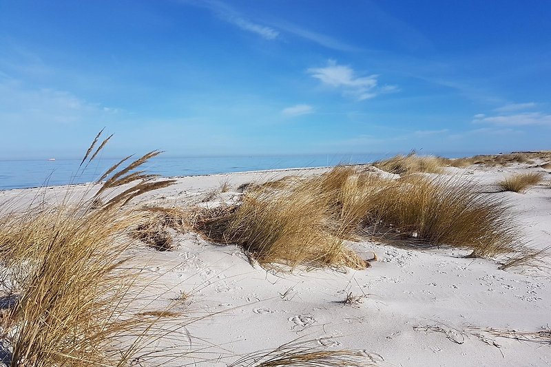 Naturstrand mit Strandhafer …idealer Ort zum Relaxen.