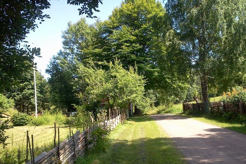 Path in front of the house