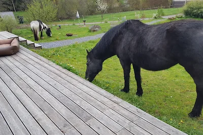 Ferienhaus Ratsmühle  Haus am Teich