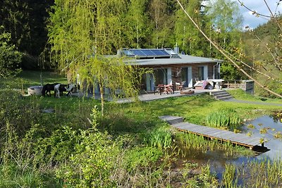 Ferienhaus Ratsmühle  Haus am Teich