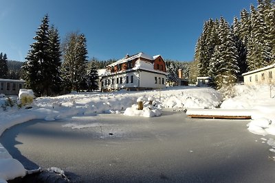 Ferienhaus Ratsmühle