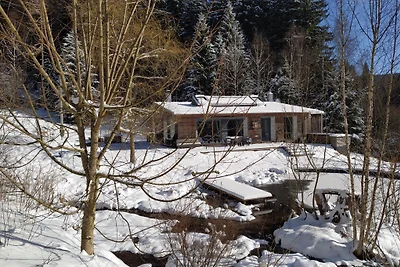 Ferienhaus Ratsmühle  Haus am Teich