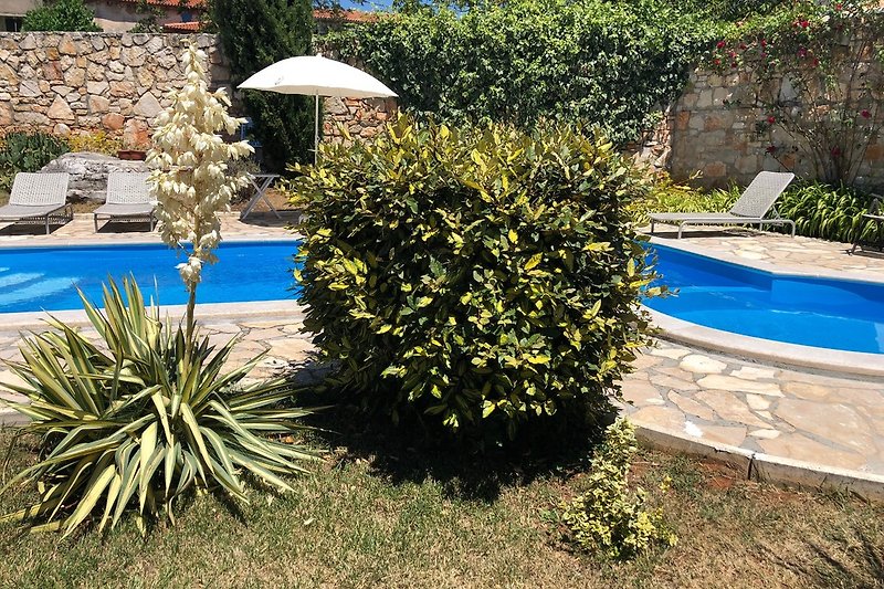 Giardino mediterraneo con piscina