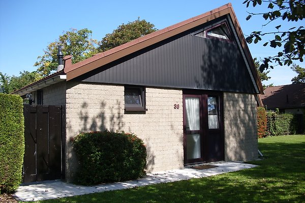 Ferienhaus Renesse
