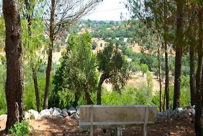 Trullo nella Pineta