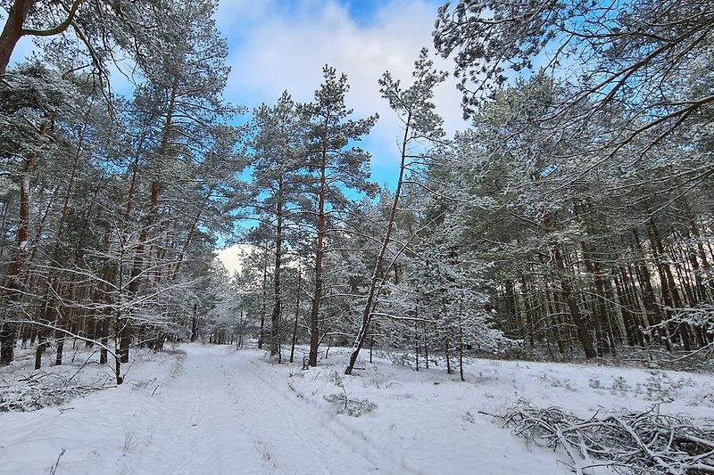 Auch im Winter kann man hier unendlich weit spazieren und das Glitzern der Natur erleben.