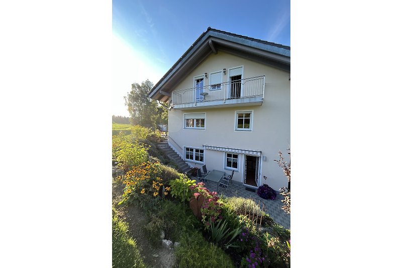 Ein charmantes Haus mit blühenden Pflanzen und einem sonnigen Fenster.