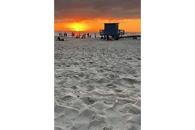Dune-Haus