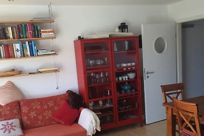 Schleiseits