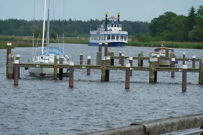 Na skraju lasu - Whg.1