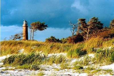 Na skraju lasu - Whg.1