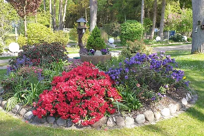 Na skraju lasu - Whg.1