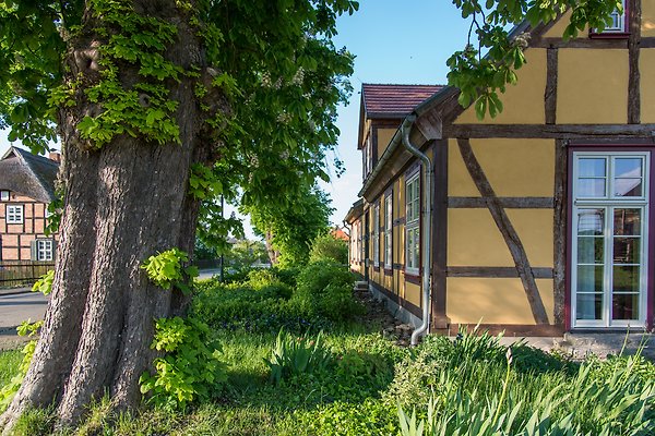 Unterkunft Neuendorf