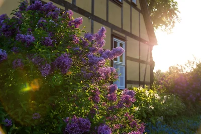Gutshaus Neuendorf - Insel Usedom