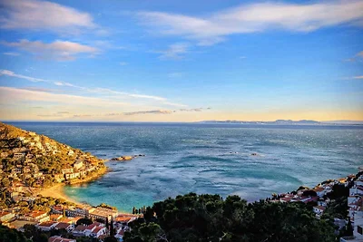 Buena Vista Roses (Rosas)