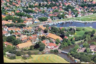 Kiebitznest Greetsiel