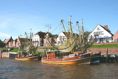 Kiebitznest Greetsiel
