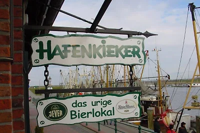 Kiebitznest Greetsiel