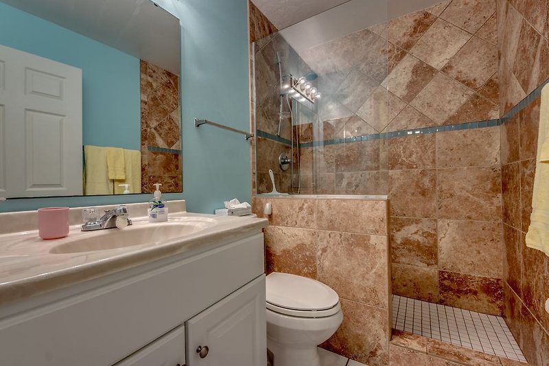 Badkamer 2 met douche en toilet