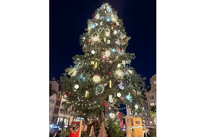 Ferienwohnung NaturPur
