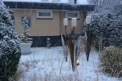Bungalow mit den drei Tulpen Nr. 16