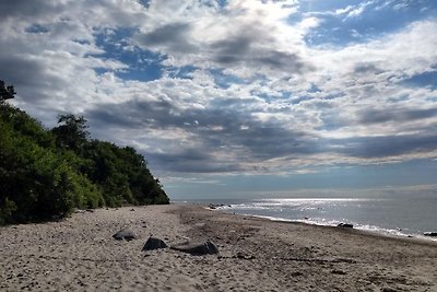 Appartamento in spiaggia Foresta costiera; Terrazza