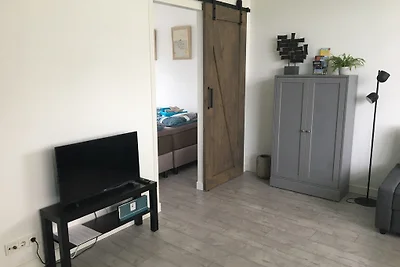 Amsterdam Beach Home 46