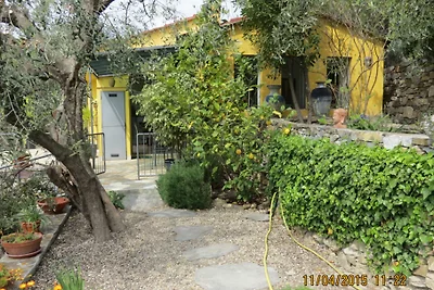 Casa Giallo