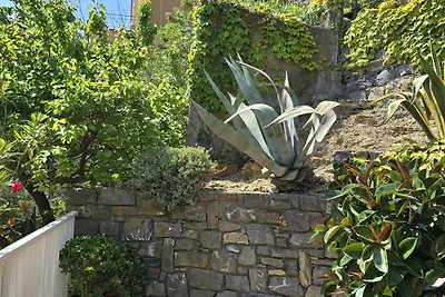 Bellavista