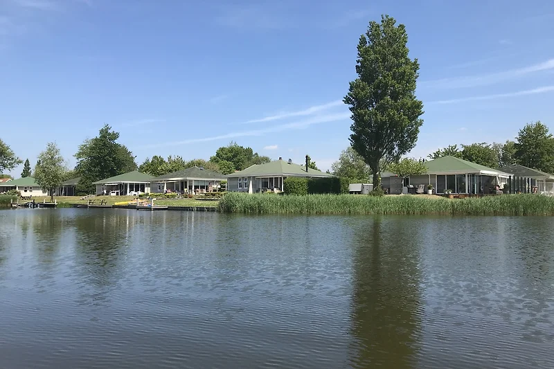 Frisches Wasser, Schilf und Spiegelungen am ruhigen Naturteich erleben.