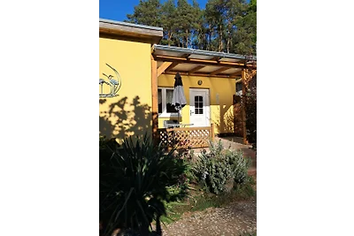 Ferienhaus Am kleinen Labussee