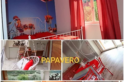 PAPAVERO