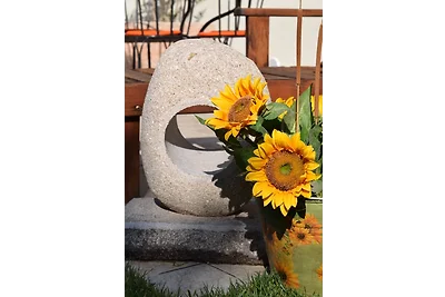 GIRASOLE CIN IT023045B4G8VTNE2Z