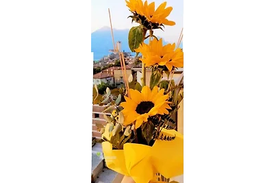 GIRASOLE CIN IT023045B4G8VTNE2Z