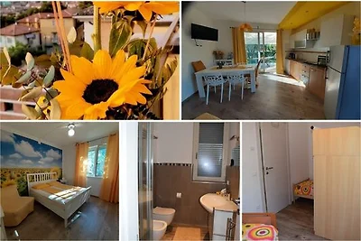 GIRASOLE CIN IT023045B4G8VTNE2Z