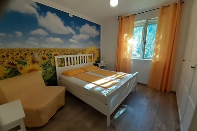 GIRASOLE CIN IT023045B4G8VTNE2Z