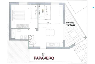 PAPAVERO
