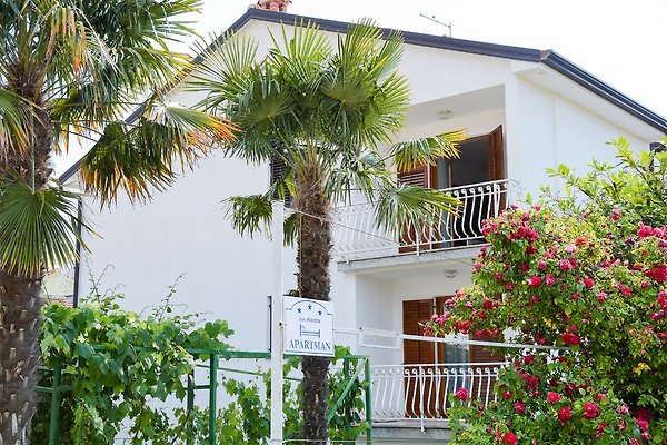 Ferienwohnung Novigrad