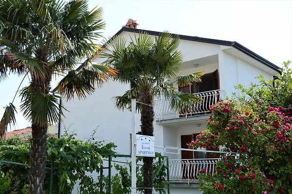 Ferienwohnung Novigrad