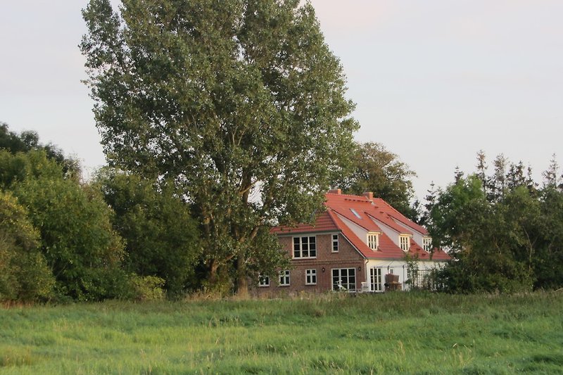 Widok na łąkę Gutshaus Vieregge