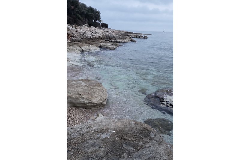 Bucht in Istrien mit kristallklarem Wasser
