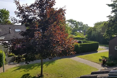 Ferienhaus De Tong 21