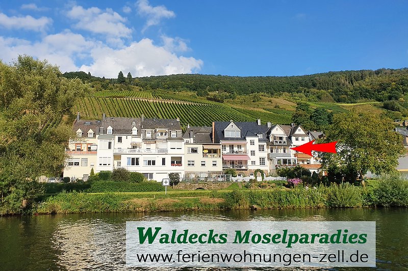 Waldecks Moselparadies, ganz nah am Wasser gelegen und 10 min von der Altstadt entfernt