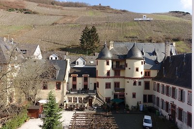 Ferienwohnung Rotling Zell Mosel