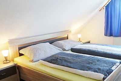 Lüttje Seestern Nordseeküste